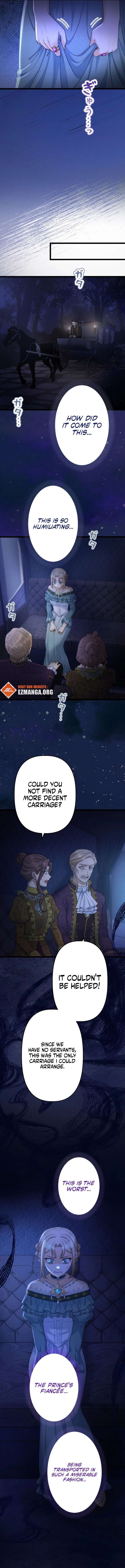 ch 23 3