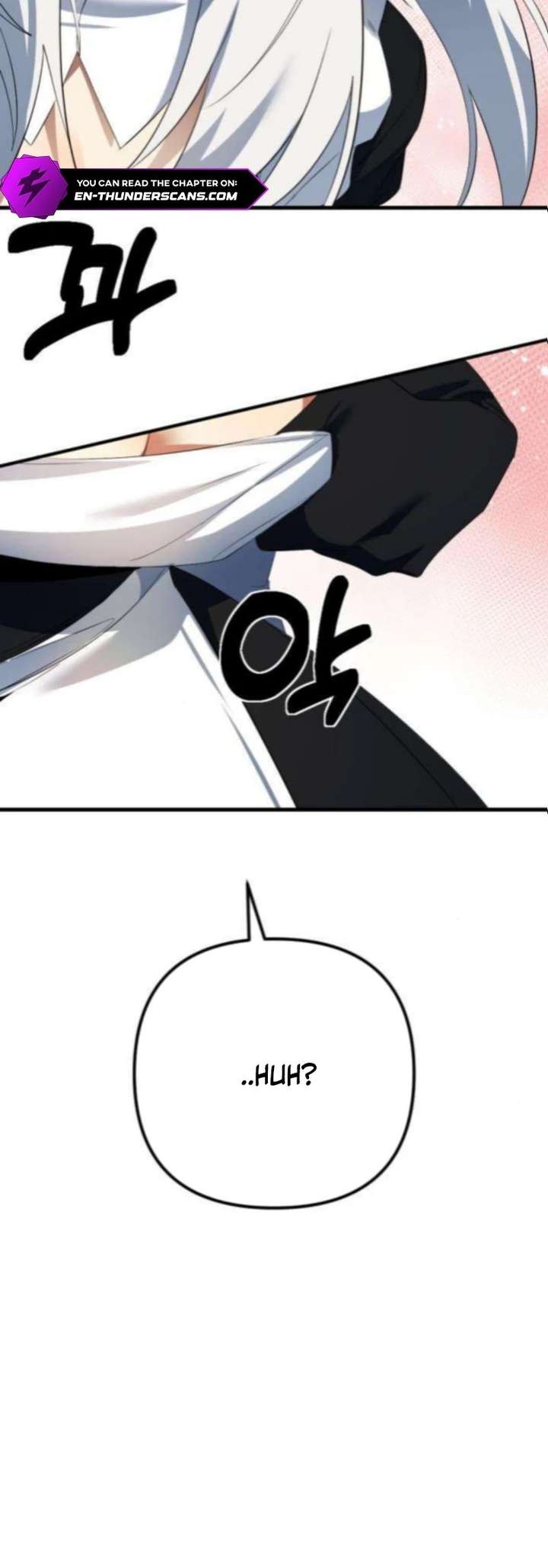 The Demon King’s Channel Chapter 11 333 074