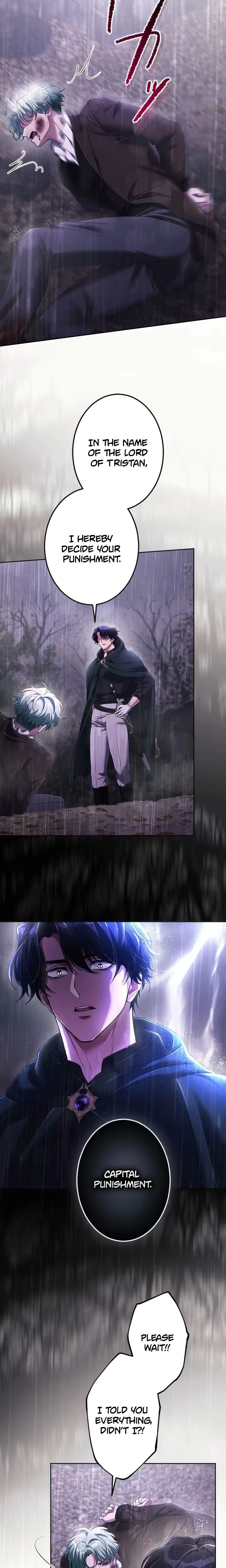 40a8e2c5a8f6 33 webp