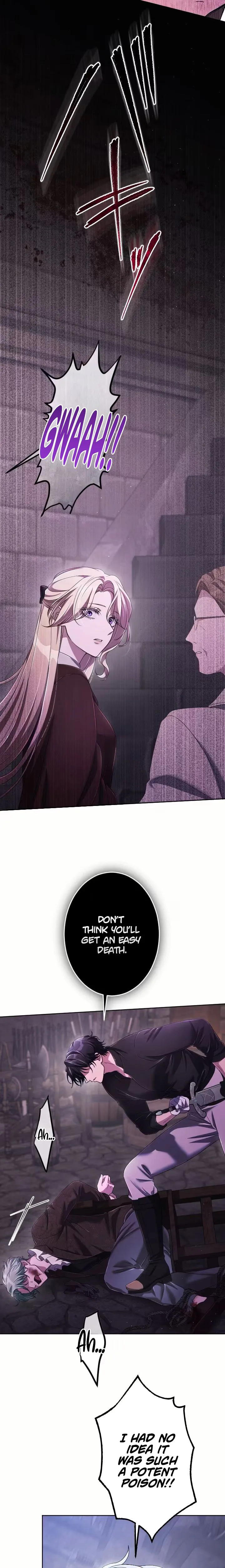 4a5efde441b5 12 webp