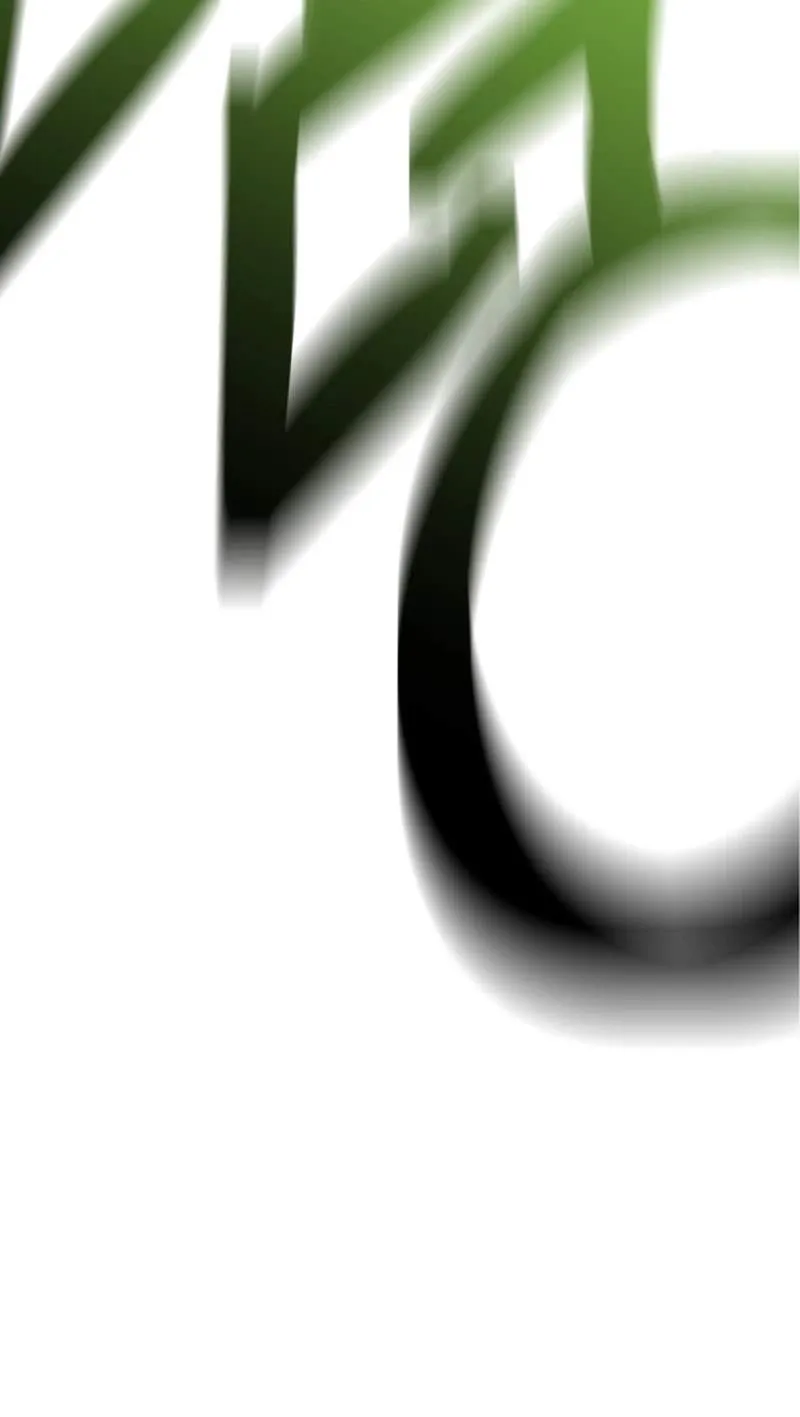 74be8ca26fff