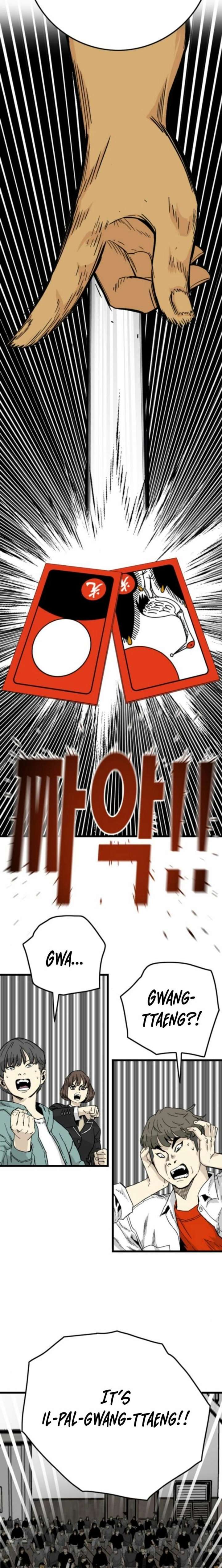 ch 19 15