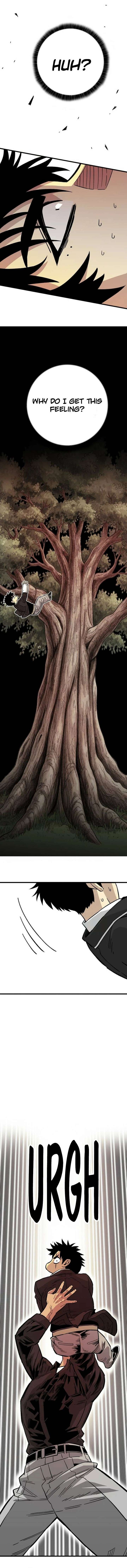 ch 23 26