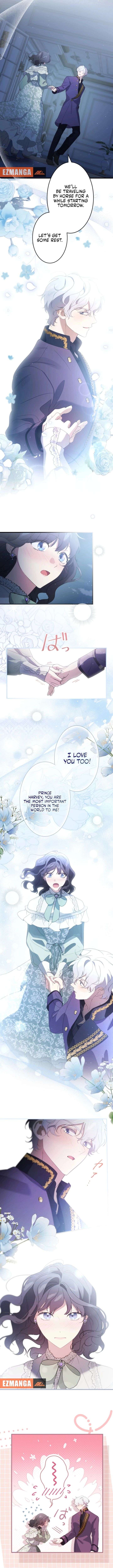 ch 23 3