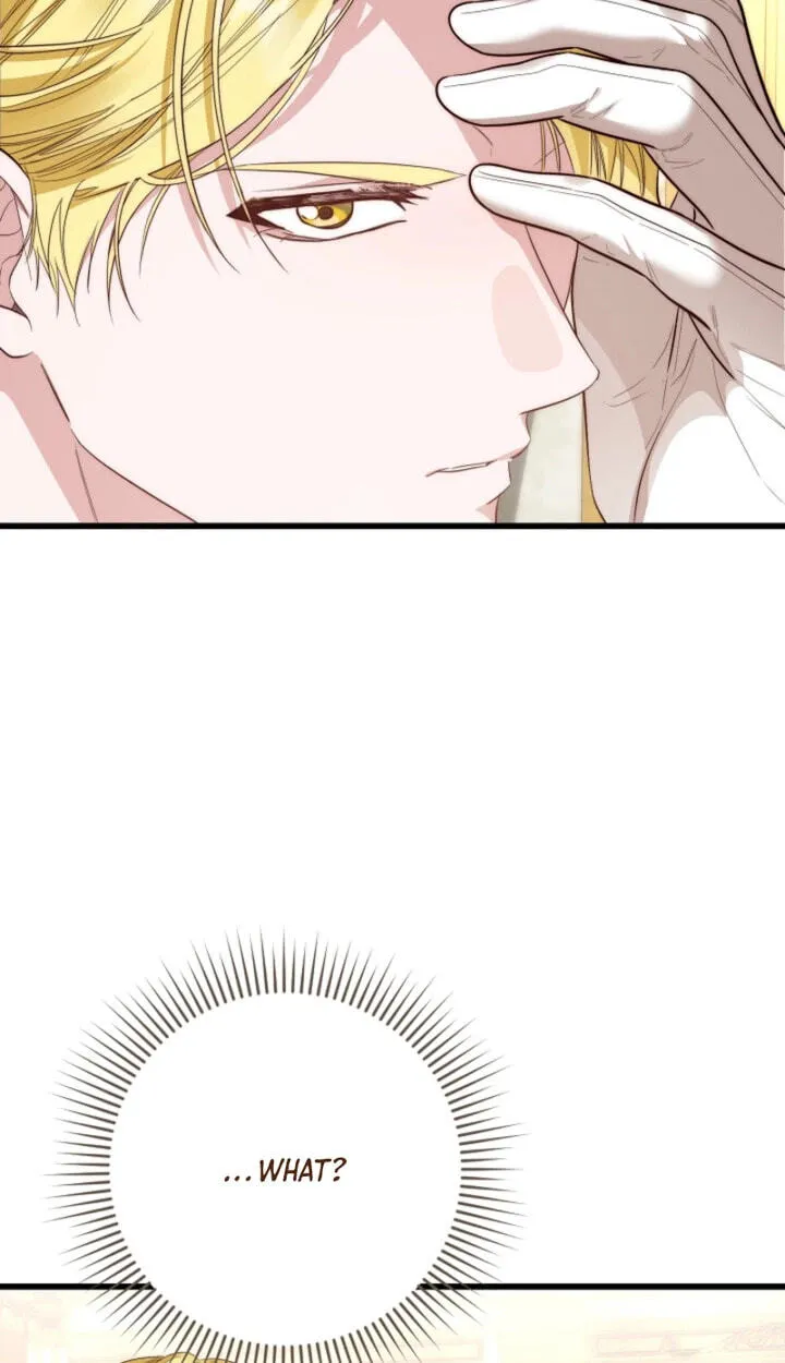 639c0de8e48b