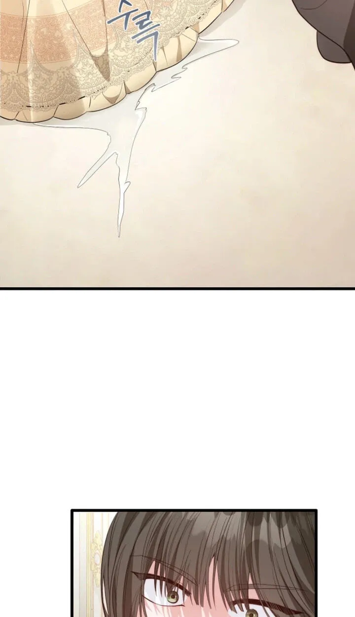 c56f3d5578e8
