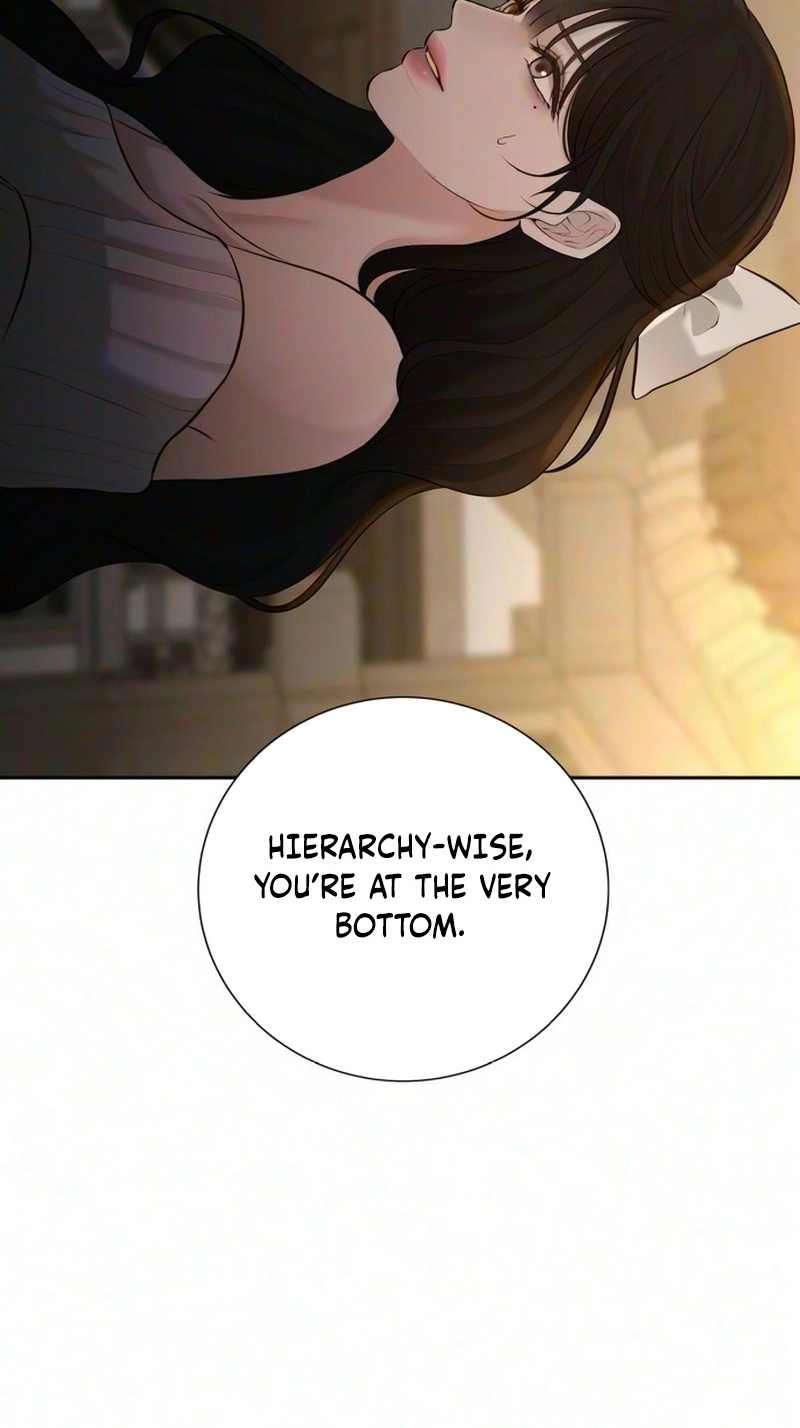 3589c14c52e6