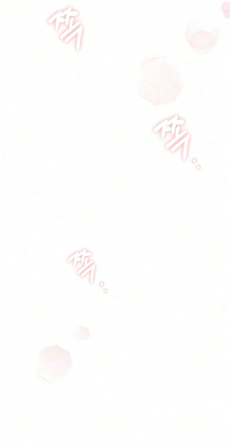 b00138794808