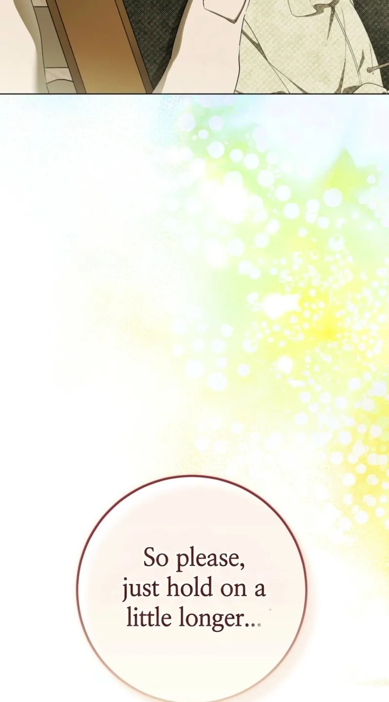 131135904623