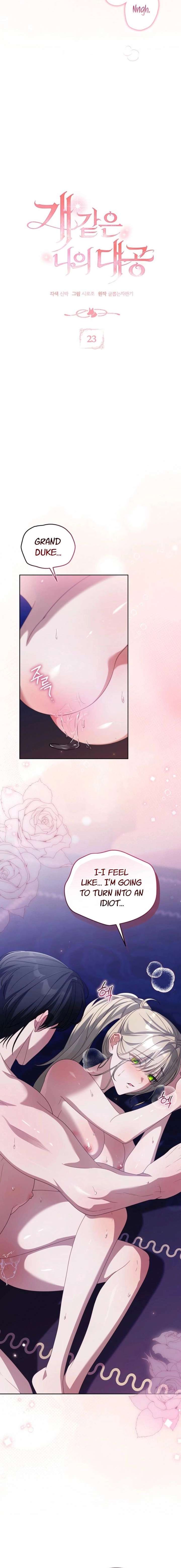 ch 23 6