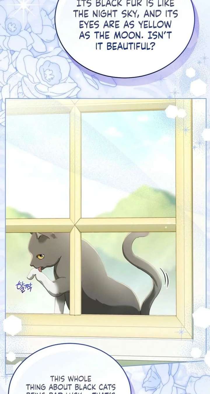 ch 24 17