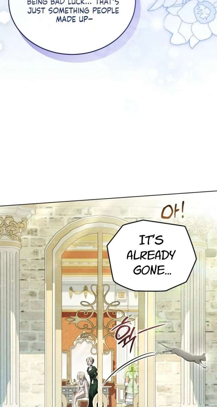 ch 24 18