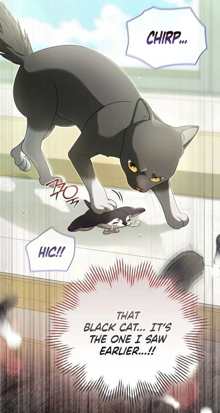 ch 24 71