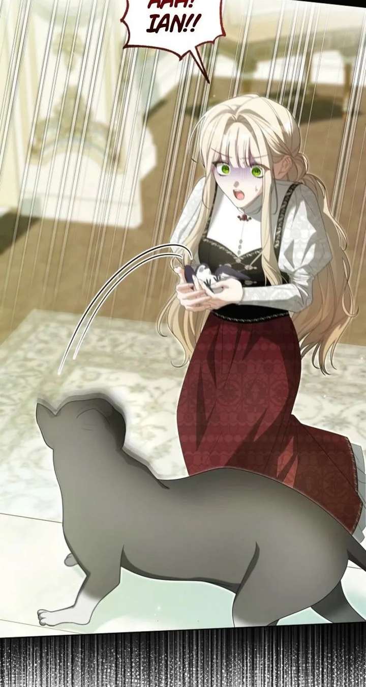 ch 24 74