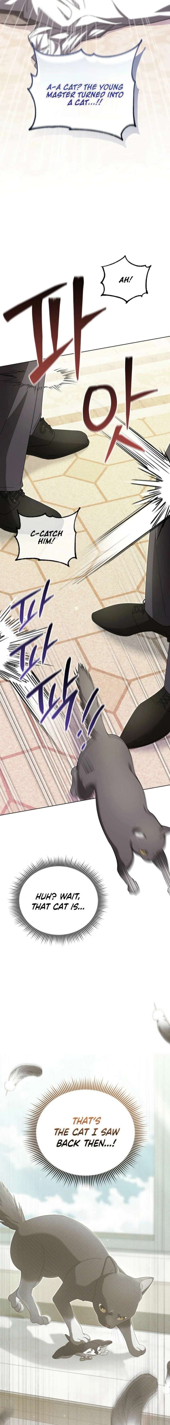 ch 28 10