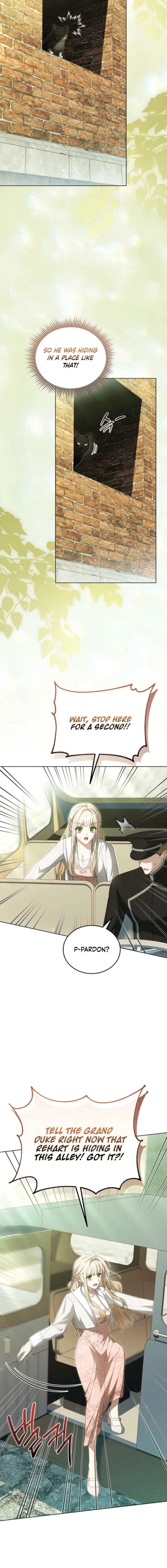 ch 28 15