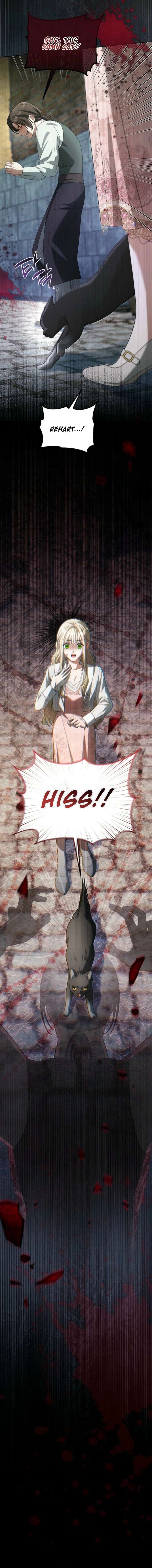 ch 28 22
