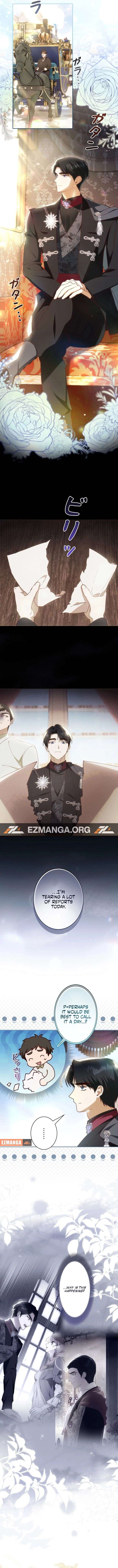 ch 31 7