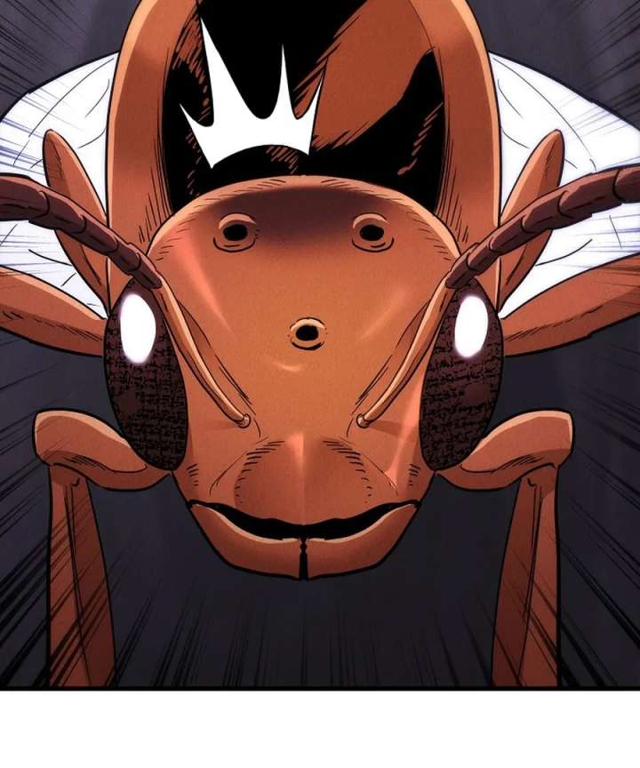 113