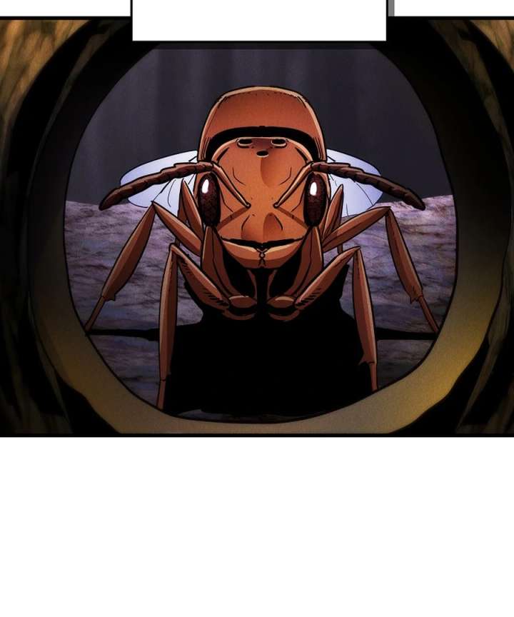 136