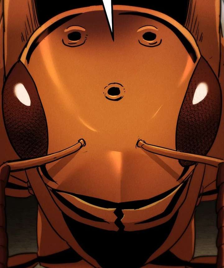 43