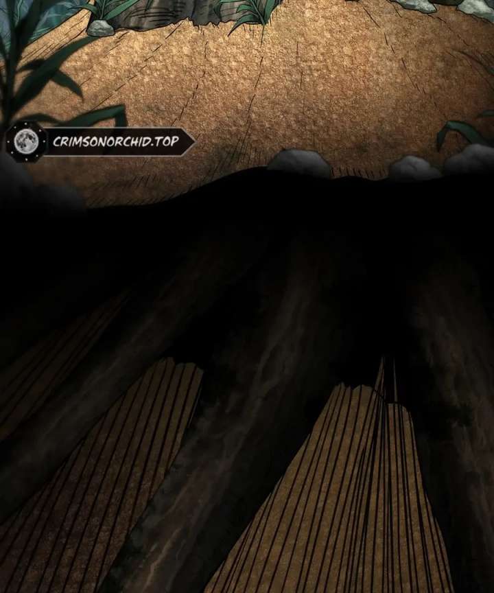66