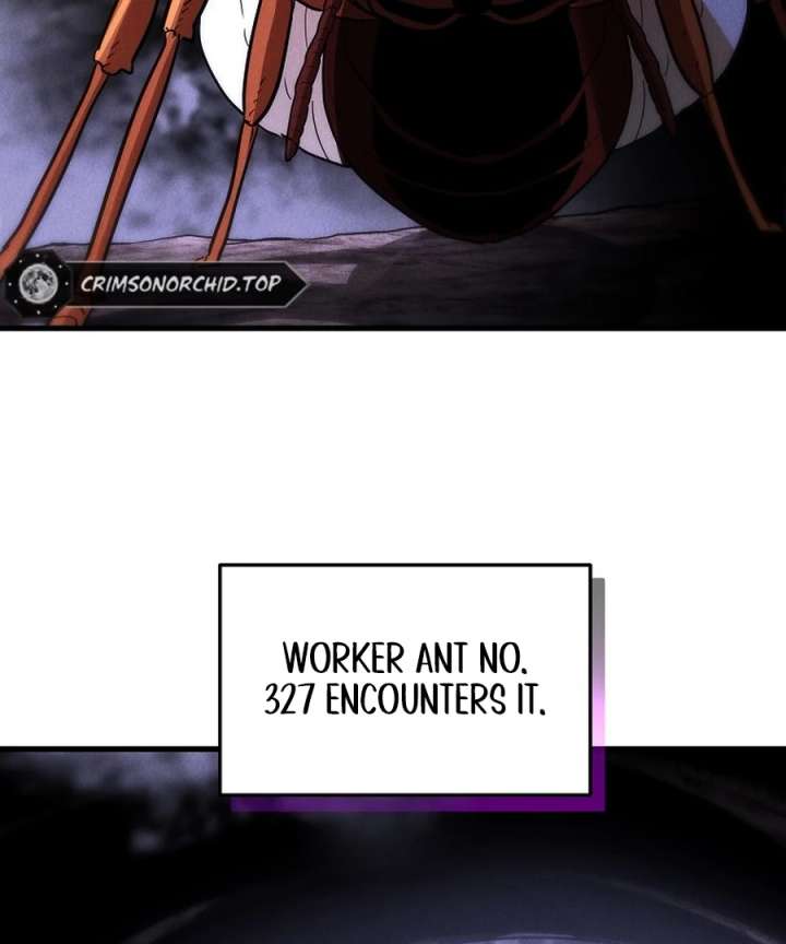 81