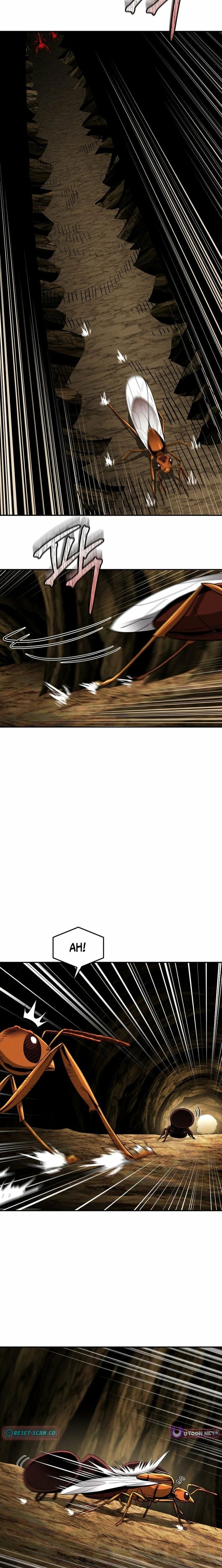 008