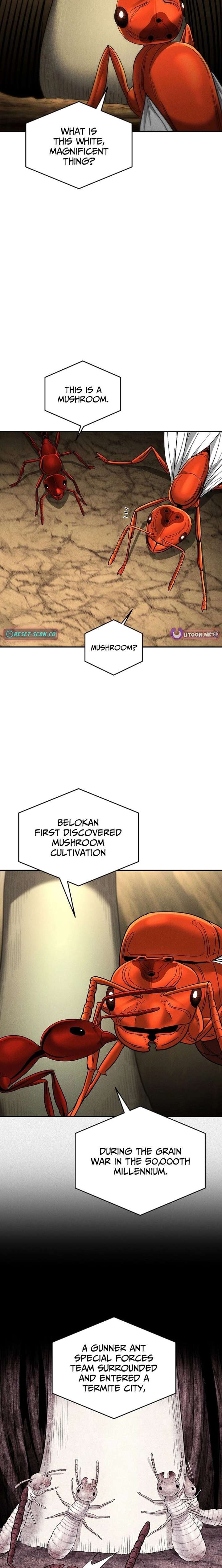 ch 18 11
