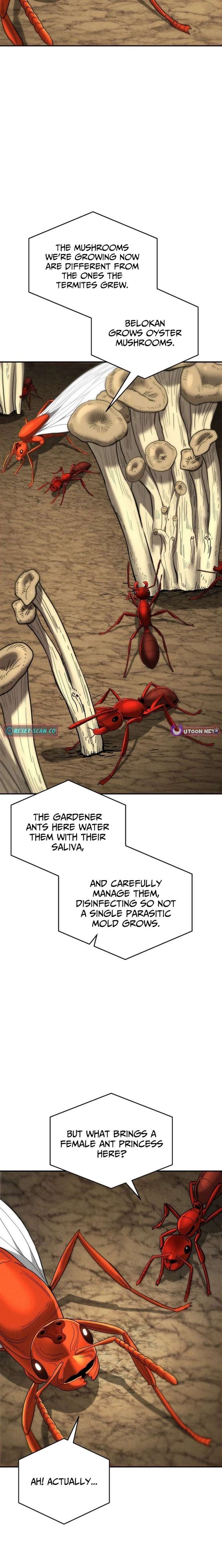 ch 18 13