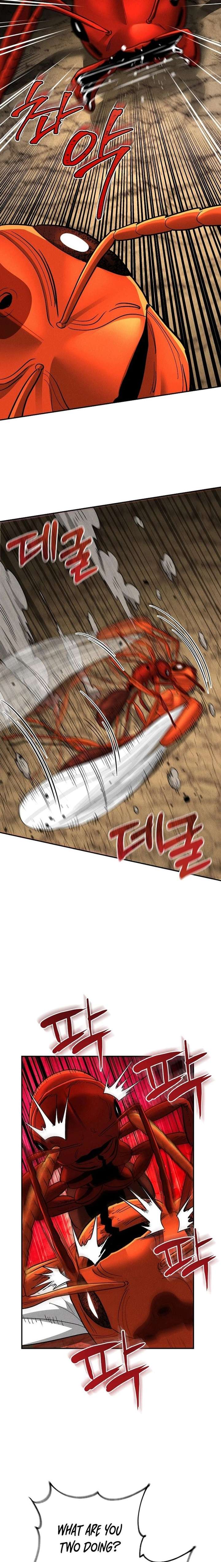ch 18 17