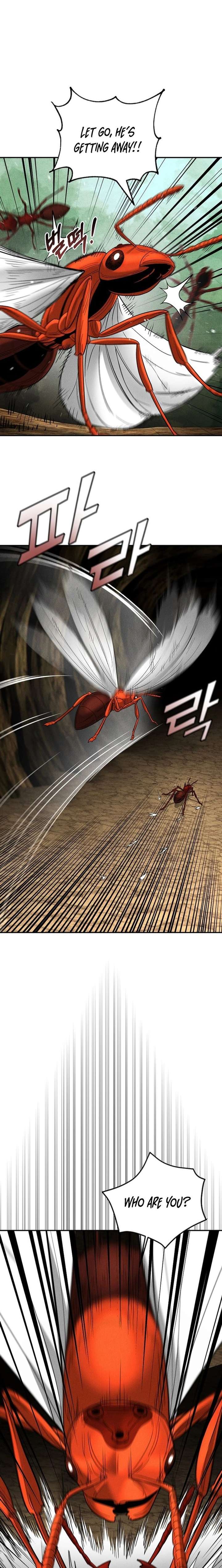 ch 18 19