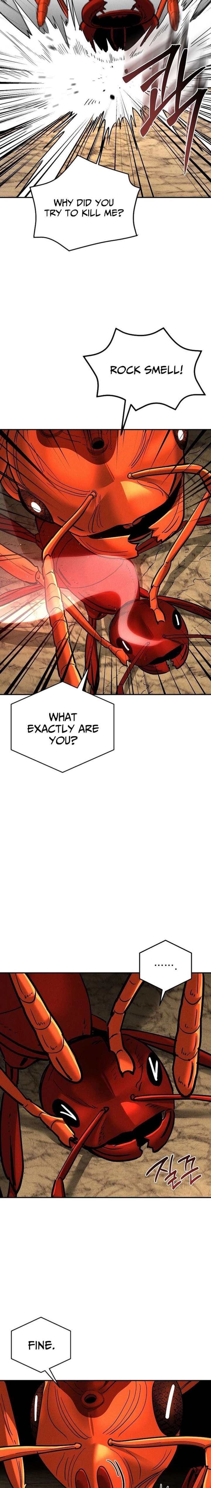 ch 18 20