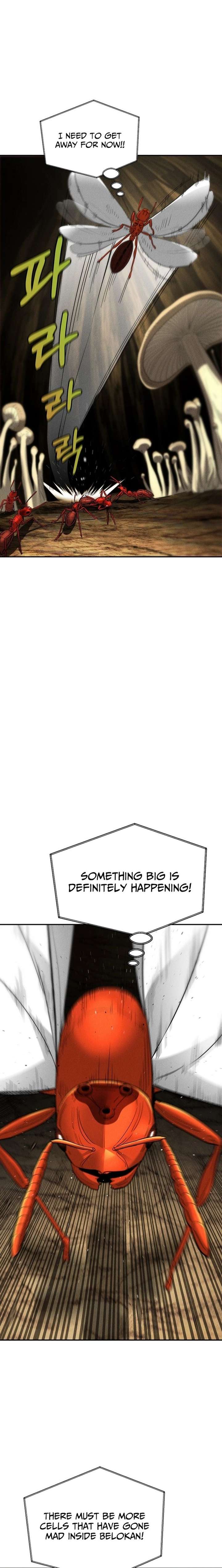 ch 18 24