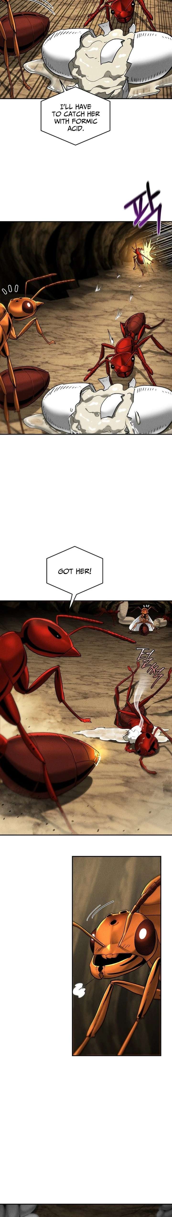 ch 18 5