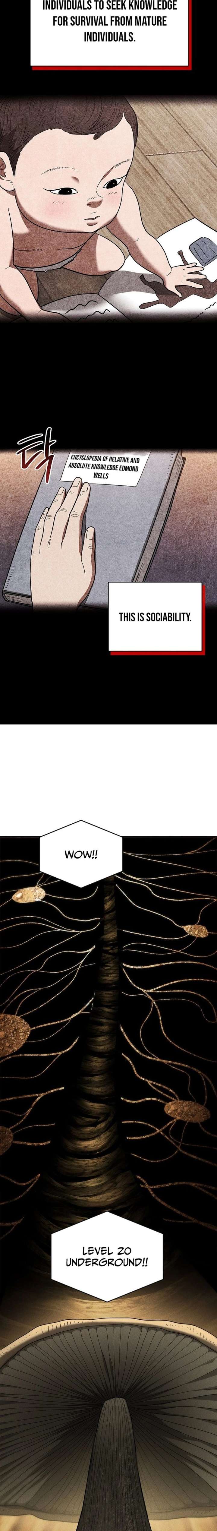 ch 18 9