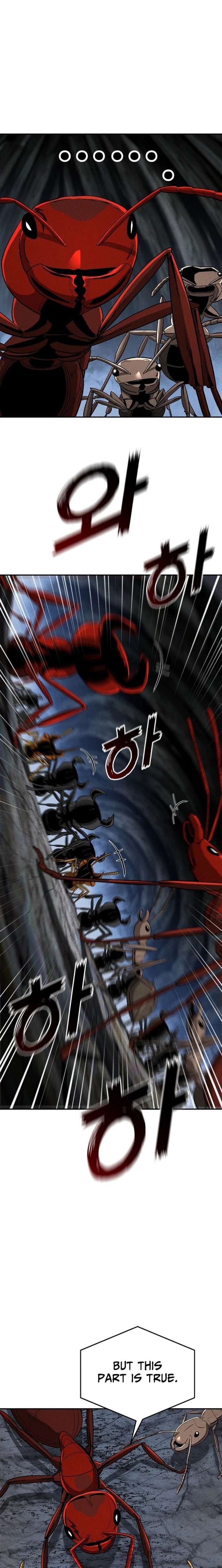 ch 19 15