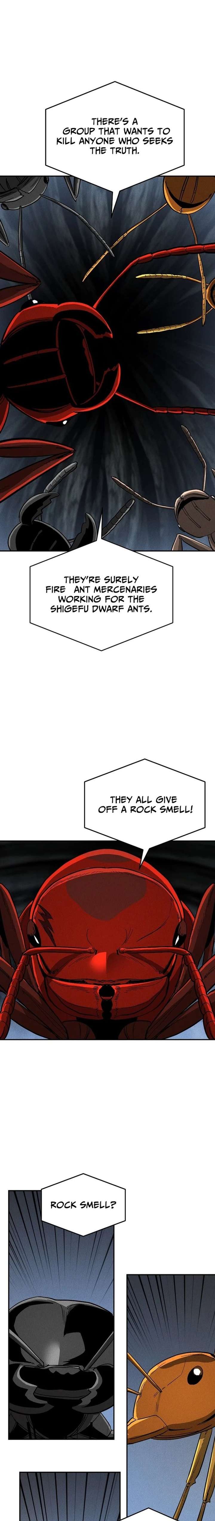ch 19 18