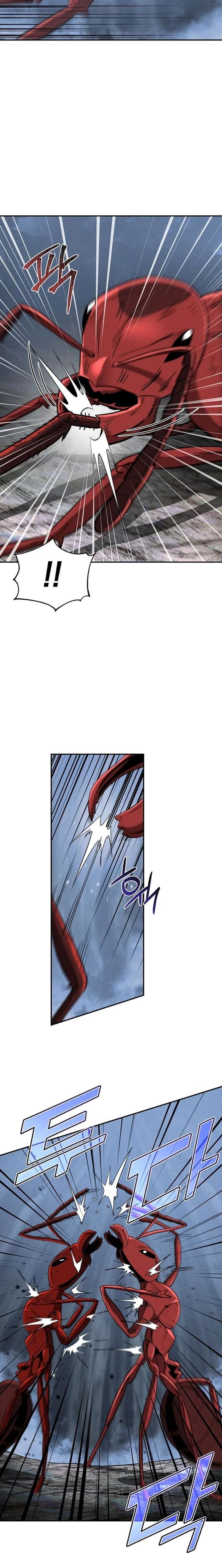 ch 19 2