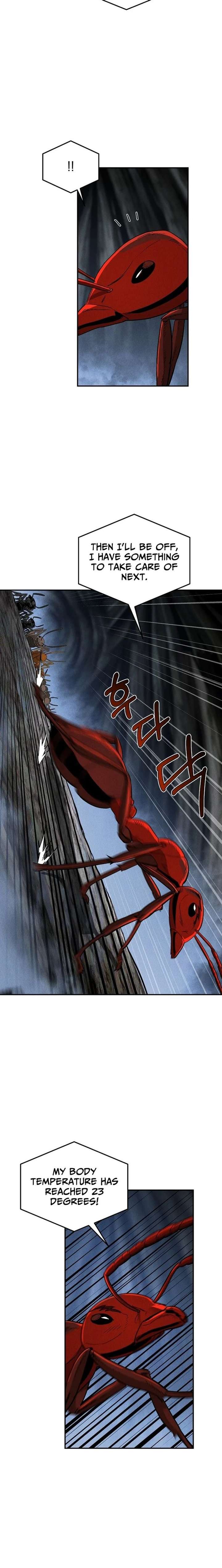 ch 19 20
