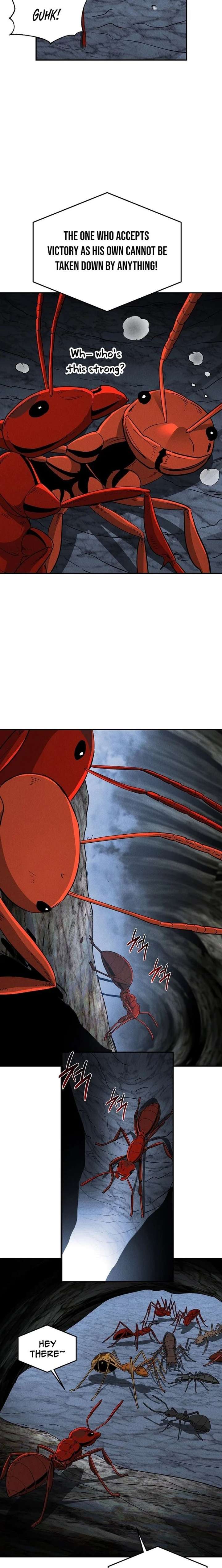 ch 19 7