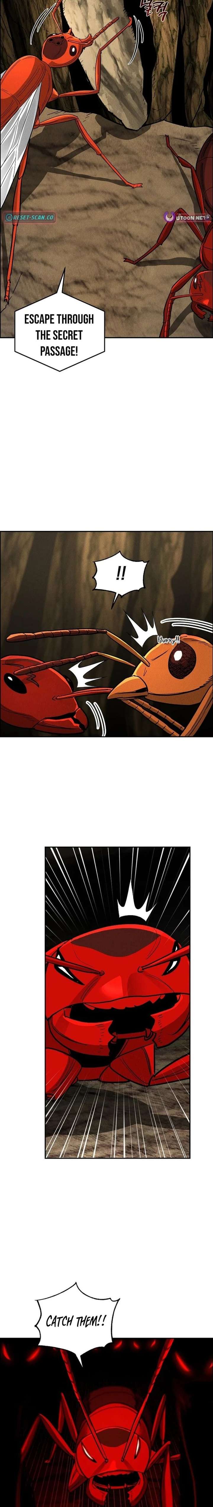 ch 20 24