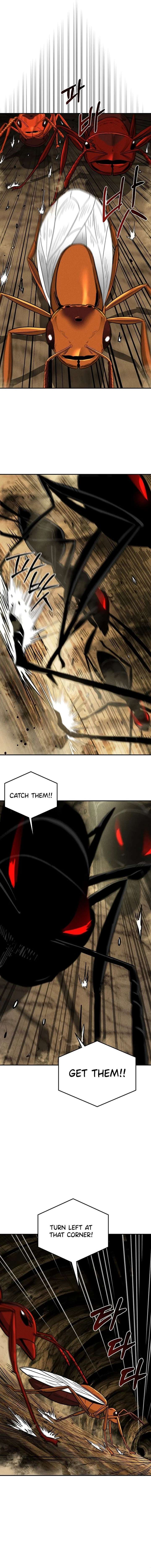 ch 22 13