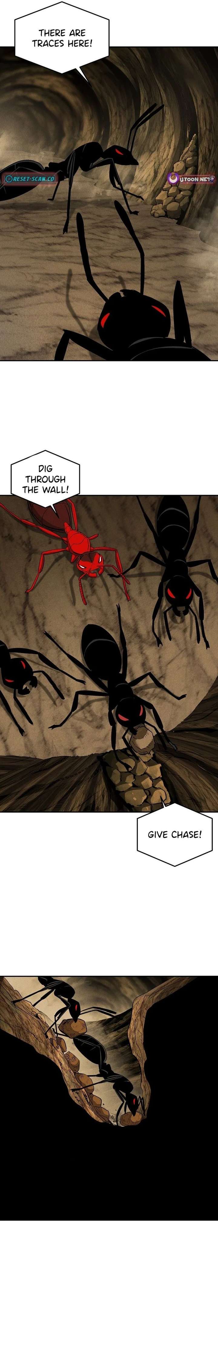 ch 22 17