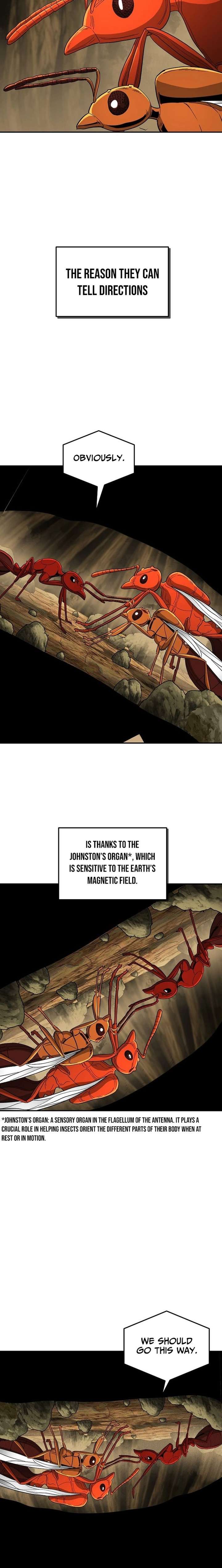 ch 23 2