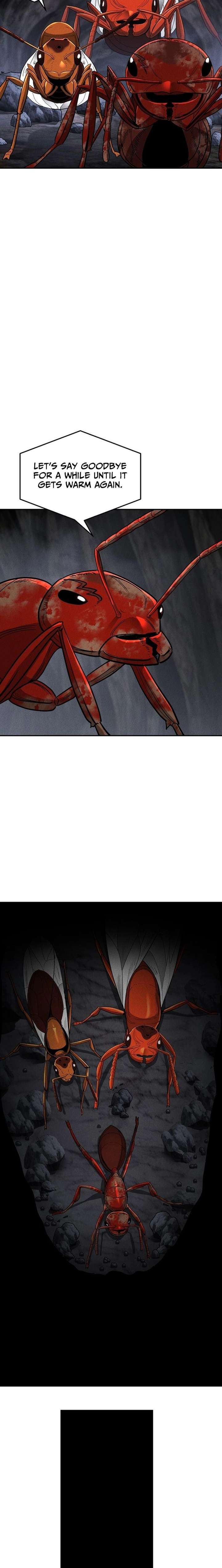 ch 23 4