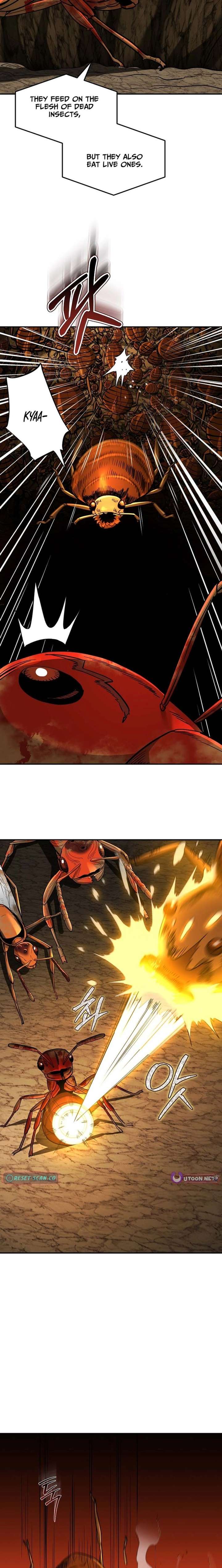 ch 24 11