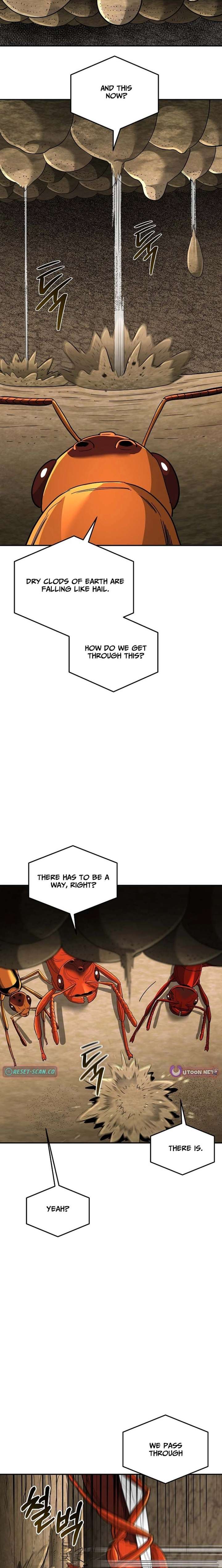 ch 24 13