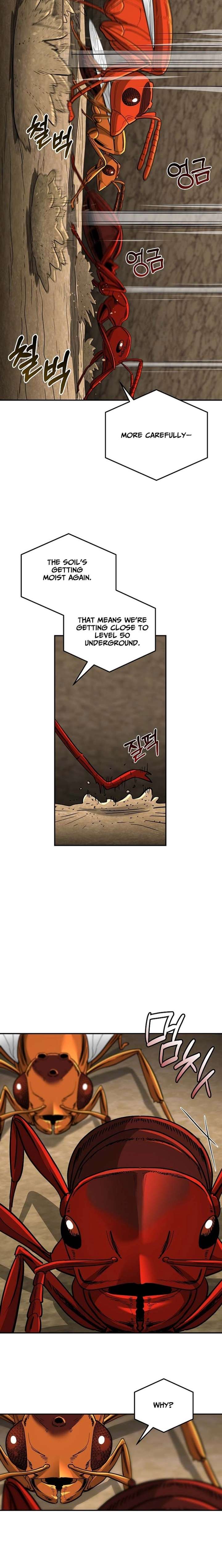 ch 24 14
