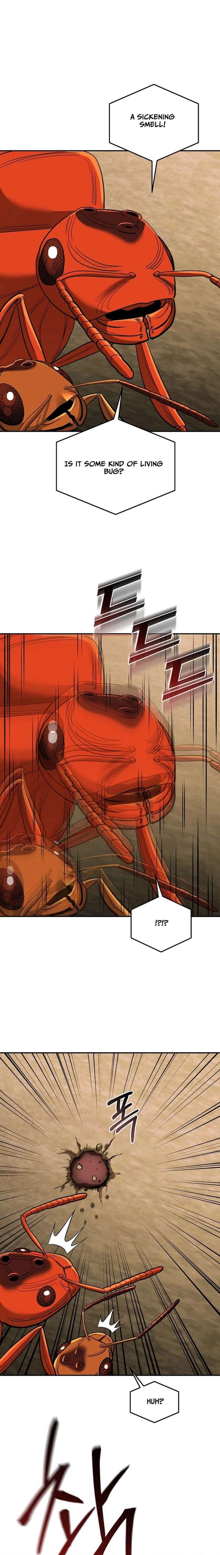 ch 24 15